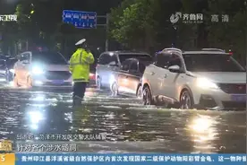 菏泽降下暴雨，部分路段出现严重积水，应急防汛队伍紧急抢险排涝视频封面
