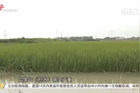 江门台山：积水逐渐退去 餐馆农户复工复产视频封面