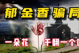 史上第一次金融危机：郁金香大骗局，一朵花如何干翻一个国？视频封面