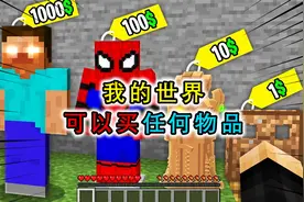 我的世界：模组可以买任何物品，买个无限手套，打了一个响指...