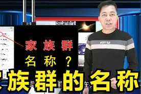 家族群的名称视频封面