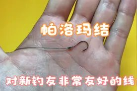 适用于小钩、细线的帕洛玛结，非常简单快捷的绑鱼钩线结！视频封面