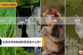 生物多样性锐减，人类该反思8.1.43生物多样性面临的威胁及其原因视频封面