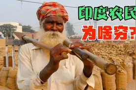 印度农民四季都忙啥？田间劳累一年，卖粮大头却被中间商拿走！