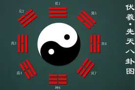 【师兄论道】一个视频告诉你什么是“阴”和“阳”视频封面
