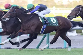 日本赛马|第48回有馬記念 一级赛 20031228