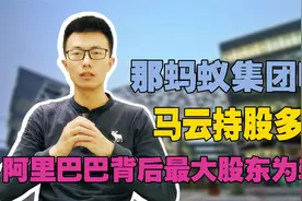 阿里巴巴背后最大股东为软银，那蚂蚁集团呢？马云持股多少？视频封面