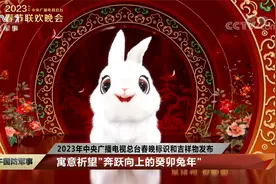 2023年中央广播电视总台春晚标识和吉祥物发布视频封面