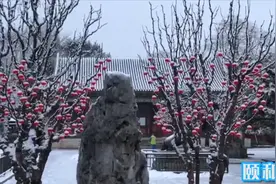 20200202遇上北京初雪，人们期盼早点春暖花开视频封面