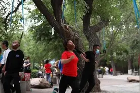 画风奇特！沈阳大爷大妈把头挂树上锻炼，有人不远千里来体验视频封面