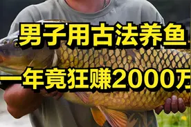 男子用古法养鱼，一年狂赚2000万，还带领河南300户农户一起致富视频封面