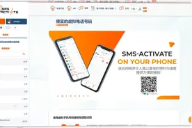 何注册和充值余额SMS-ACTIVATE视频封面