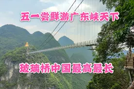 新开景点，五一游广东峡天下景区，有目前国内最长最高的玻璃桥视频封面