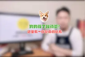 狗狗得了趾间炎？这里有一份管用的处方视频封面