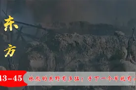 林彪的东野有多猛？手下一个军就有六万人，傅作义：这还怎么打视频封面