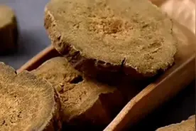 老中医分享中医奇方，济生乌梅丸，治疗息肉有奇效视频封面
