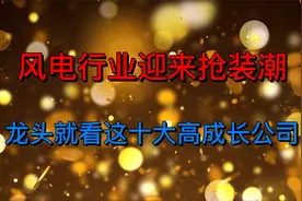 风电行业迎来抢装潮，盘点十大高成长的风电出口潜力龙头公司视频封面