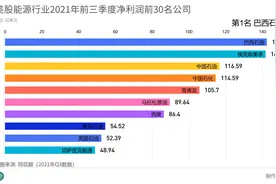美股能源行业2021年前三季度净利润前30名公司视频封面