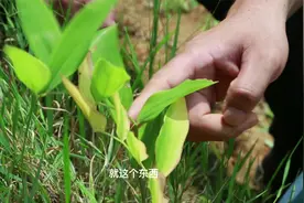 “老烟民”喝什么合适？听听中医专家怎么推荐视频封面