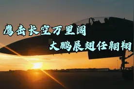 人民空军发展的艰辛历程，鹰击长空万里阔,大鹏展翅任翱翔。视频封面