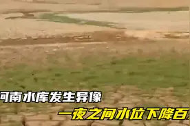 河南水库发生异像，一夜之间水位下降百米，六条金龙重见天日视频封面