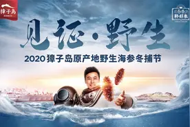 獐子岛2020野生海参冬捕节视频封面
