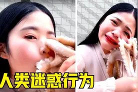 人类愚蠢的迷惑行为，为引关注无下限，看看章鱼有多大吸力？视频封面