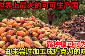 世界上最大的可可生产国，靠种植可可为生，却从未尝过巧克力味道视频封面