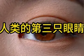 你知道人体的第三只眼睛在哪里吗？揭秘人类隐藏的神秘的器官！视频封面