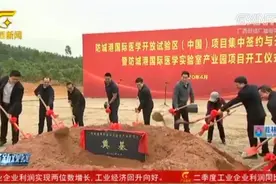总投资3000亿！防城港打造“产业林”，推进重大项目高质量发展视频封面