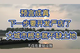 预言成真，下一步要大开发严店了，大城市根本就不缺土地视频封面
