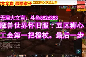 魔兽世界怀旧服橙杖最后一步视频封面
