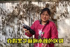 很多朋友们说市场太多假黑芝麻今天让大家见识下真黑芝麻泡水颜色视频封面