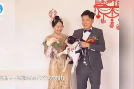婚礼上新人抱宠物狗合照，不料新娘竟被狗子踹开，还是自己养大的视频封面