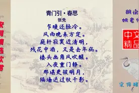 青门引·春思 宋代 张先 伤春怀旧之作，清明临近寂寞中怀念亡妻视频封面