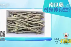 缓解胃痛、改善高血压、促进排石，南瓜藤的好处真不少|生活圈视频封面