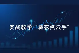 潇洒老师实战教你如何运用“葵花点穴手”视频封面