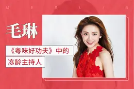 《粤味好功夫》中的冻龄主持人——毛琳视频封面