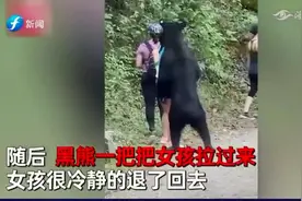 3名女子路遇黑熊被熊抱！闻来闻去还摸大腿，现场视频令人揪心视频封面
