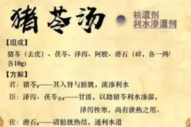 张仲景--猪苓汤视频封面