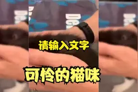 可怜的猫咪让果蝇幼虫寄生视频封面