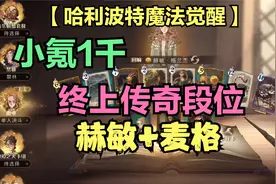 小氪1千 终上传奇段位 赫敏+麦格【哈利波特魔法觉醒】视频封面