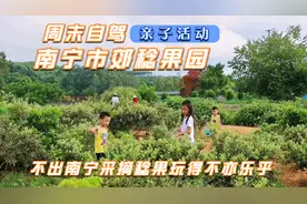 周末自驾南宁市郊稔果园，亲子活动采摘稔果烧烤等开心快乐每一天视频封面