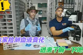 荒野生活：我们人体的血液什么样的才算健康呢？进来了解一下吧！视频封面