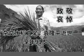 “杂交水稻之父”袁隆平，于5月22日因器官衰竭逝世，享年91岁视频封面