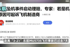 东航坠机事件启动理赔工作，专家：若是机械原因可起诉飞机制造商视频封面