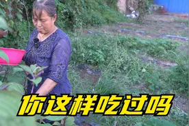 紫苏叶的神仙吃法，我敢说90%的人没吃过哦，味道真的太惊喜