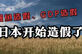鳗鱼造假，GDP造假，日本的工匠精神荡然无存了？视频封面