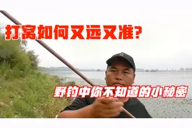 打窝如何又远又准？野钓生活中你不知道的小技巧，满满的全是智慧视频封面