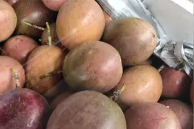 如何挑选好吃的百香果？夏天多喝百香果汁，百香果的功效和作用视频封面